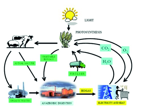 Generación de energía a través de la biometanización 